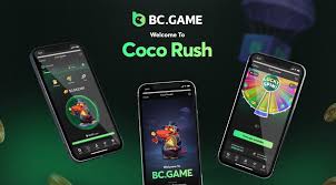 Exploring BC.Game Hub Your Gateway to the Future of Online Gaming